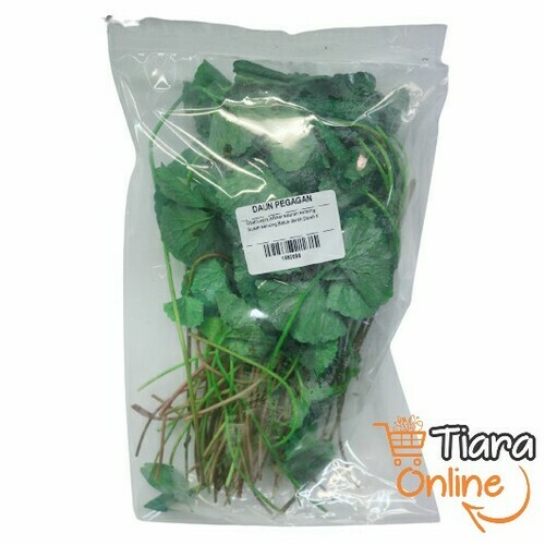 TIARA GO - DAUN PEGAGAN : 50 GR