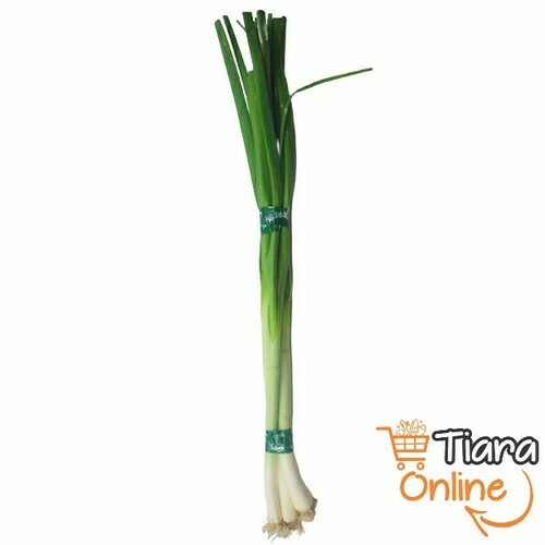 DAUN PRE / LEEK